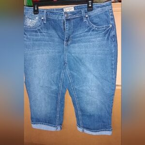 Earl Jeans Women's Blue Denim Jeggings